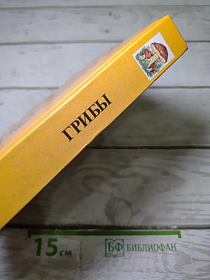 Грибы