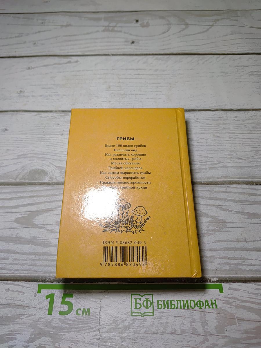 Грибы