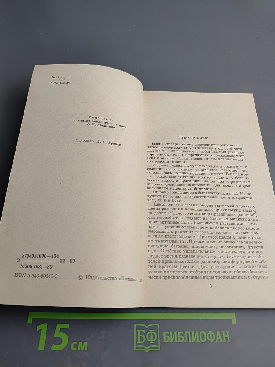 Зеленые оазисы дома и на работе