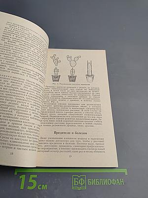 Зеленые оазисы дома и на работе