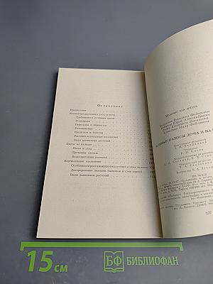 Зеленые оазисы дома и на работе