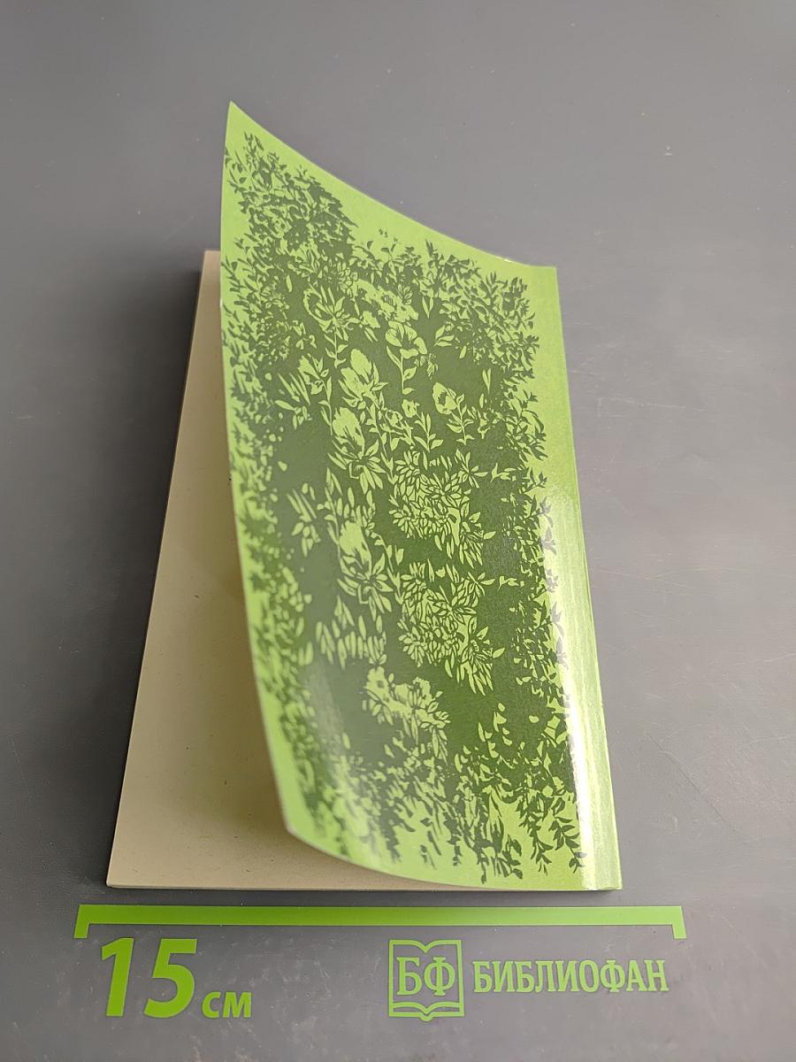 Зеленые оазисы дома и на работе