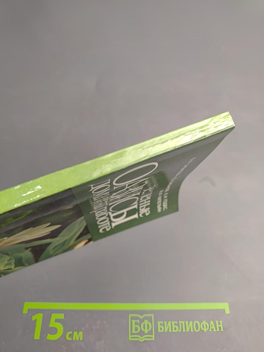 Зеленые оазисы дома и на работе