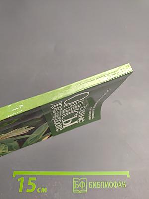 Зеленые оазисы дома и на работе