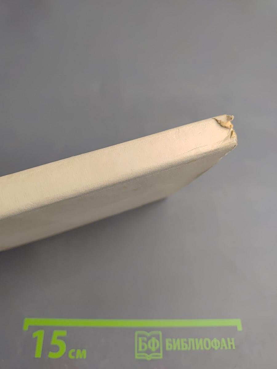 Леонардо да Винчи