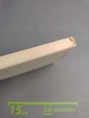 Леонардо да Винчи