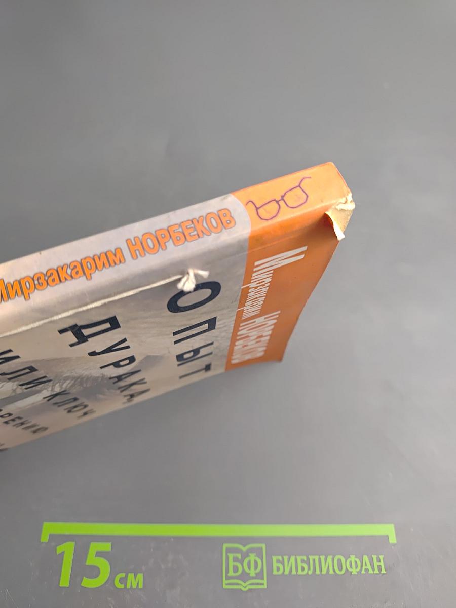 Опыт дурака, или Ключ к прозрению. Как избавиться от очков