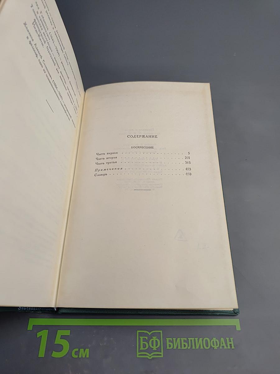 Воскресение. Том тринадцатый