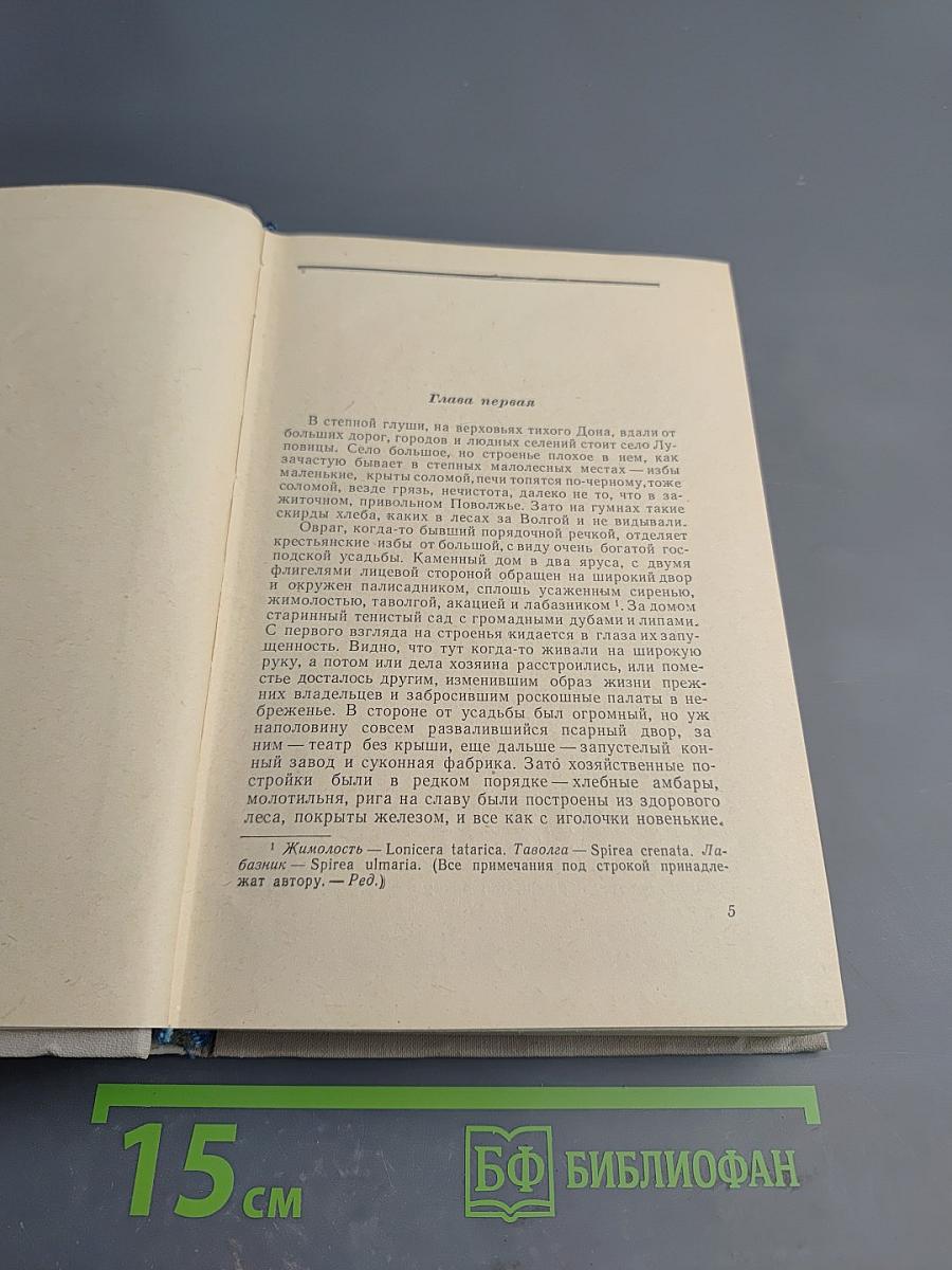 На горах. В двух книгах. Книга вторая