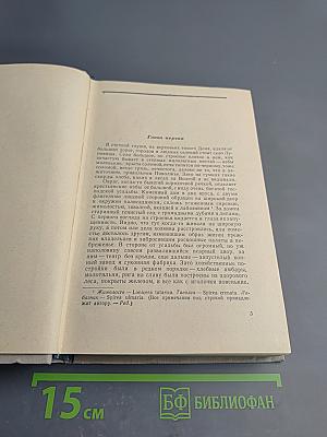 На горах. В двух книгах. Книга вторая