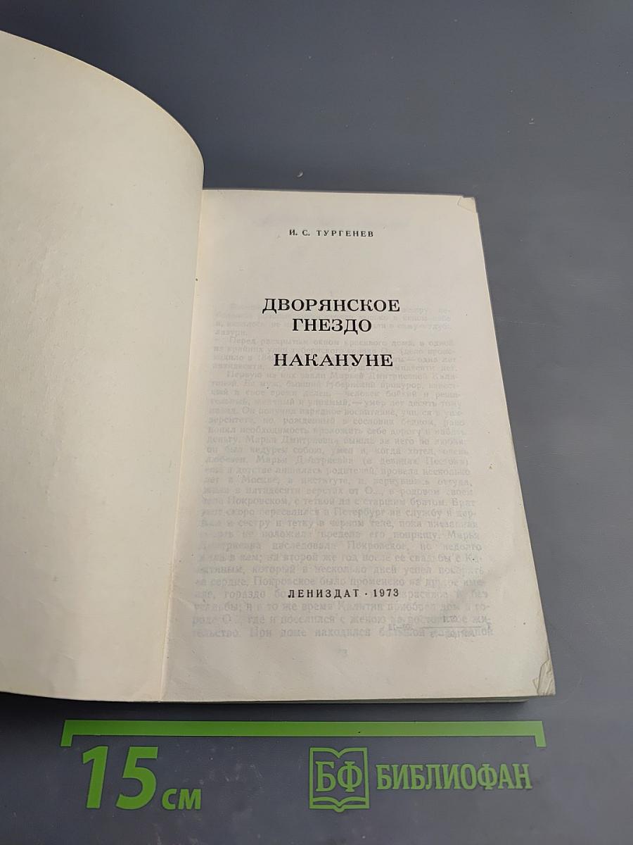 Дворянское гнездо. Накануне