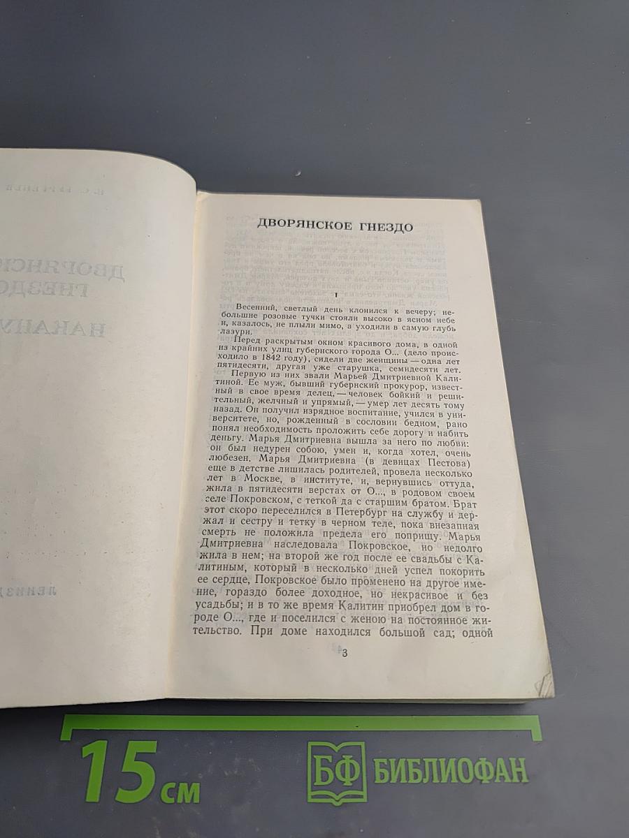 Дворянское гнездо. Накануне