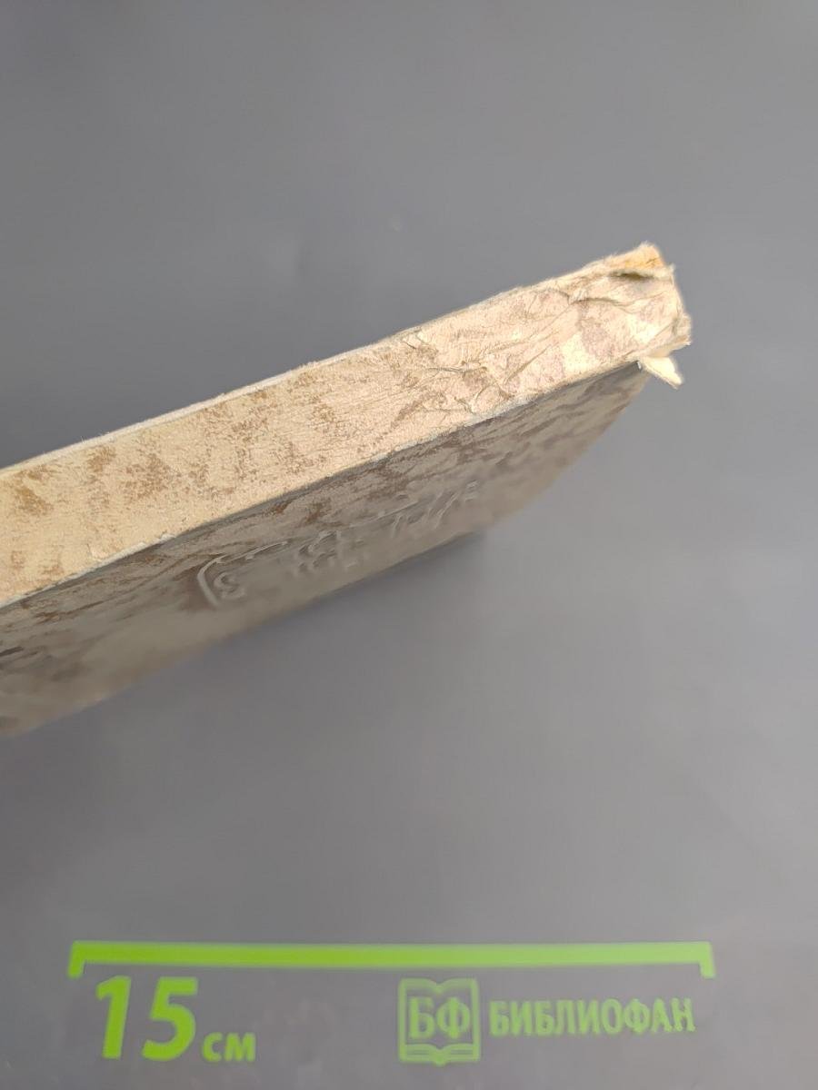 Дворянское гнездо. Накануне