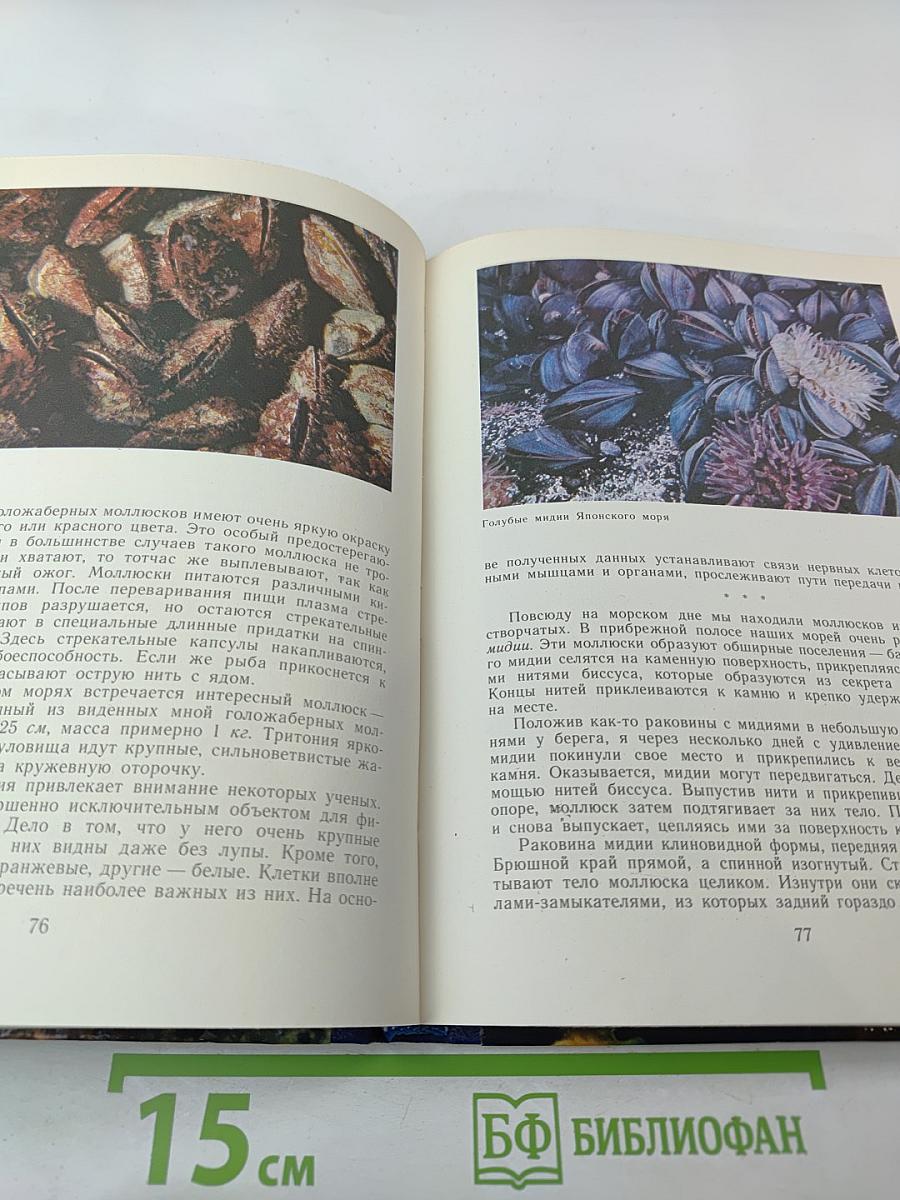 В подводном мире. Пособие для учащихся