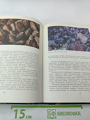 В подводном мире. Пособие для учащихся