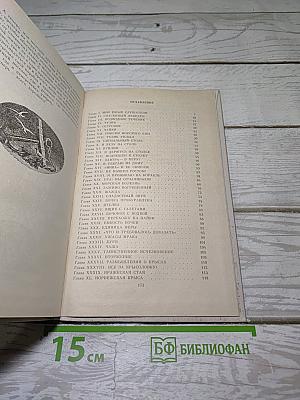 Морской Волчонок