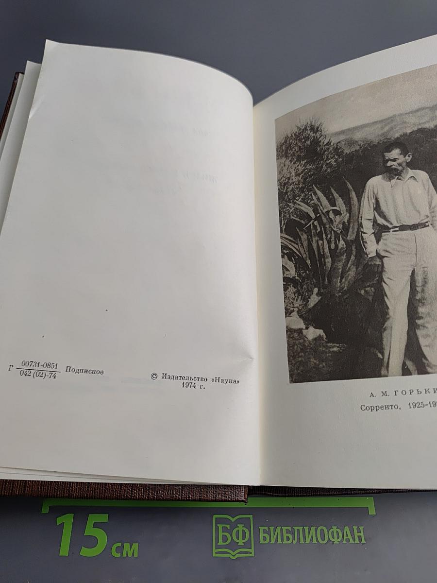 Жизнь Клима Самгина. Том двадцать первый