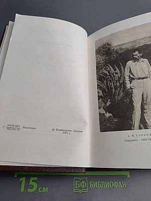 Жизнь Клима Самгина. Том двадцать первый