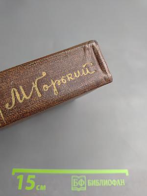 Жизнь Клима Самгина. Том двадцать первый