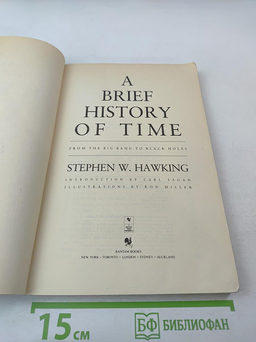 A Brief History of Time From the Big Bang to Black Holes