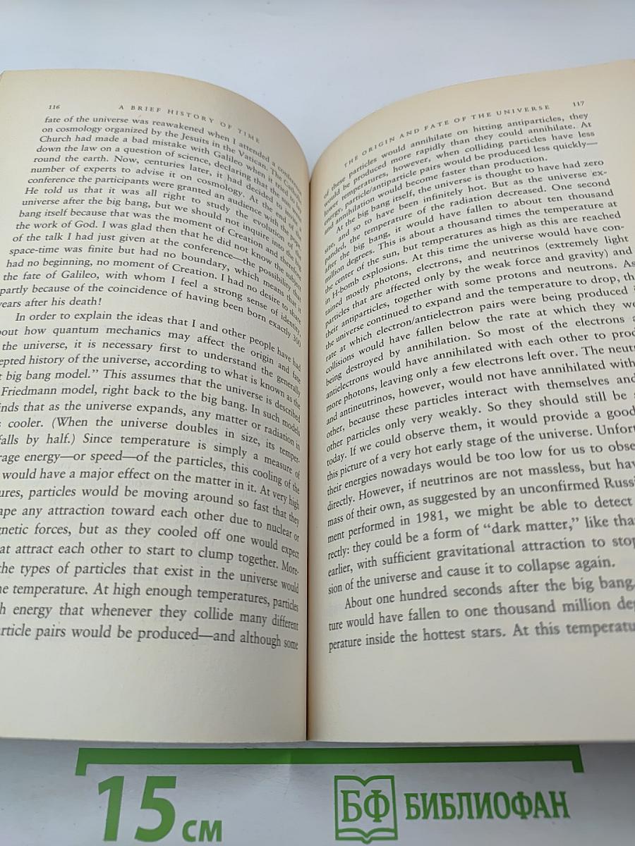 A Brief History of Time From the Big Bang to Black Holes