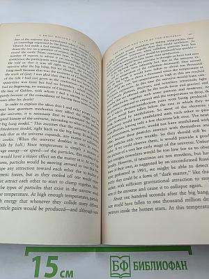 A Brief History of Time From the Big Bang to Black Holes