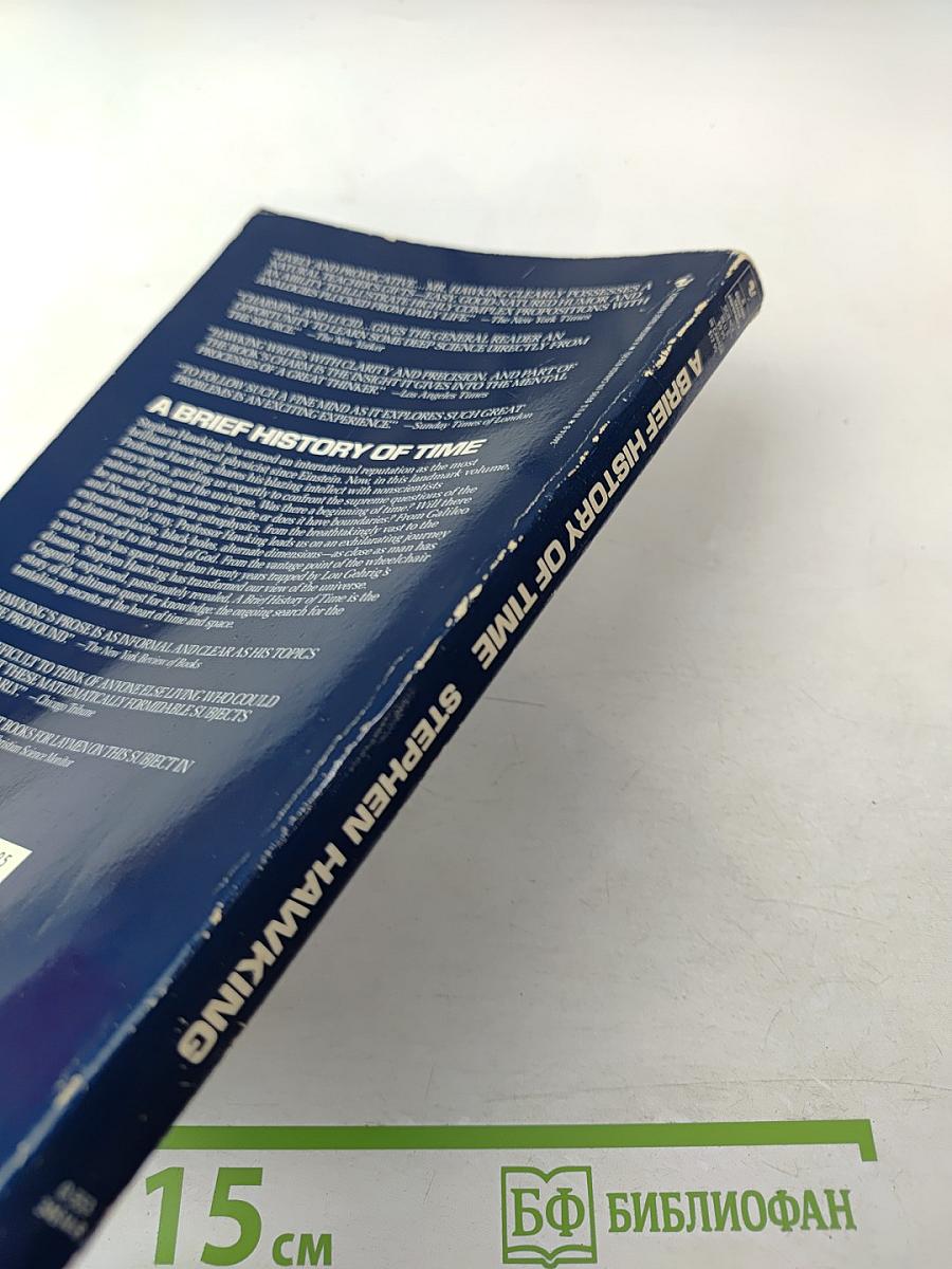 A Brief History of Time From the Big Bang to Black Holes