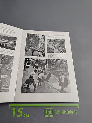 Шесть городов пяти континентов