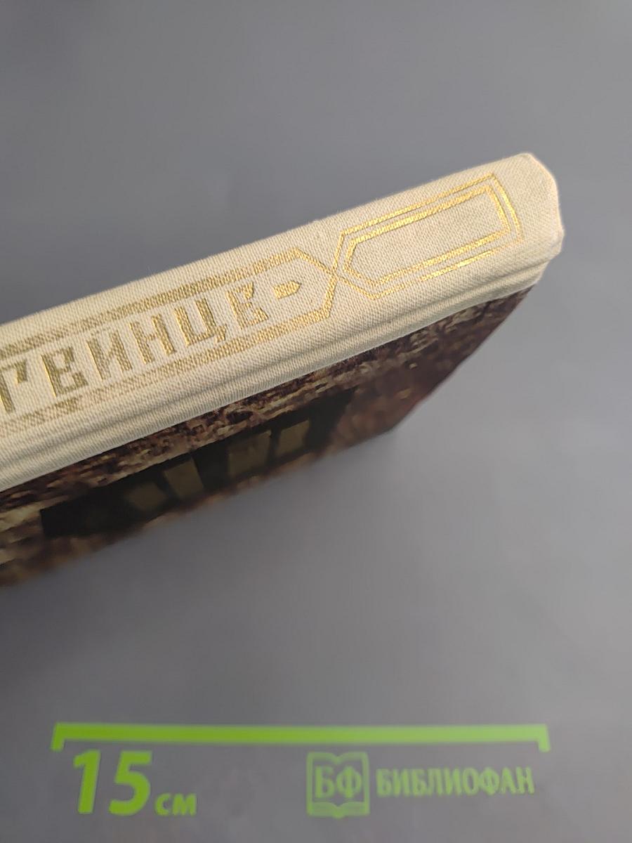 Исторические романы. Малюта-Скуратов