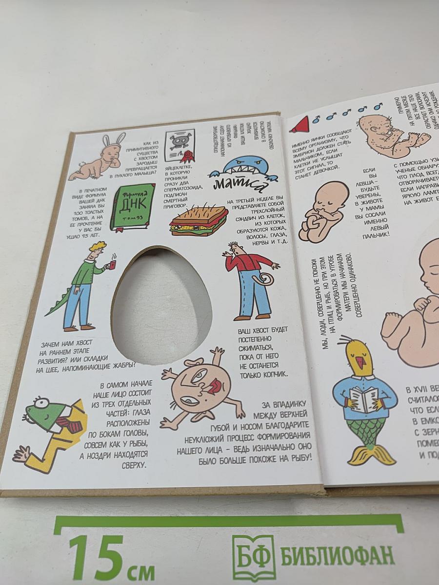 280 дней до вашего рождения. Репортаж о том, что вы забыли, находясь в эпицентре событий