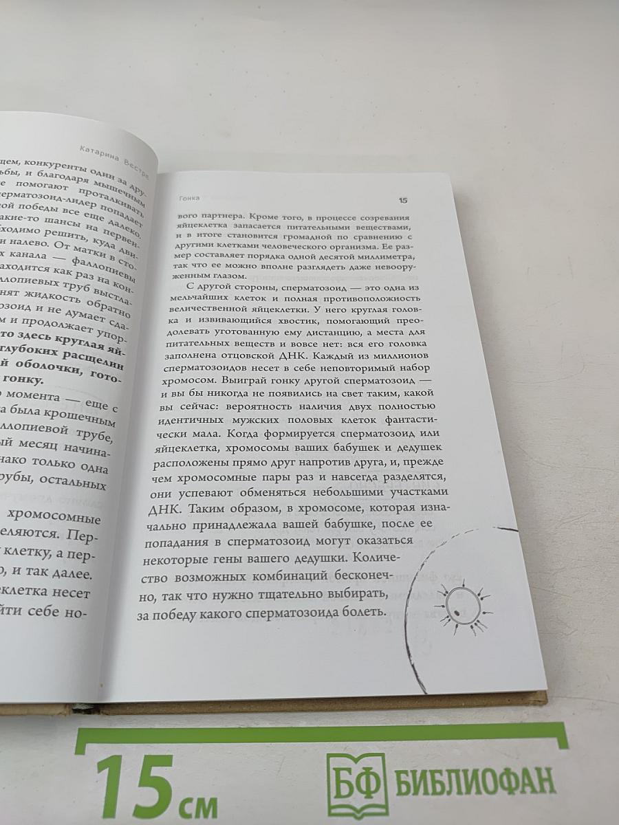 280 дней до вашего рождения. Репортаж о том, что вы забыли, находясь в эпицентре событий