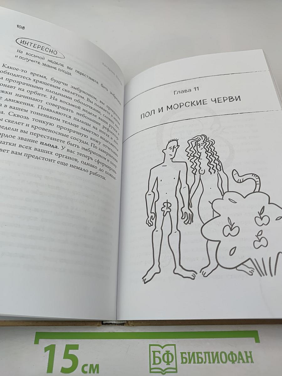 280 дней до вашего рождения. Репортаж о том, что вы забыли, находясь в эпицентре событий