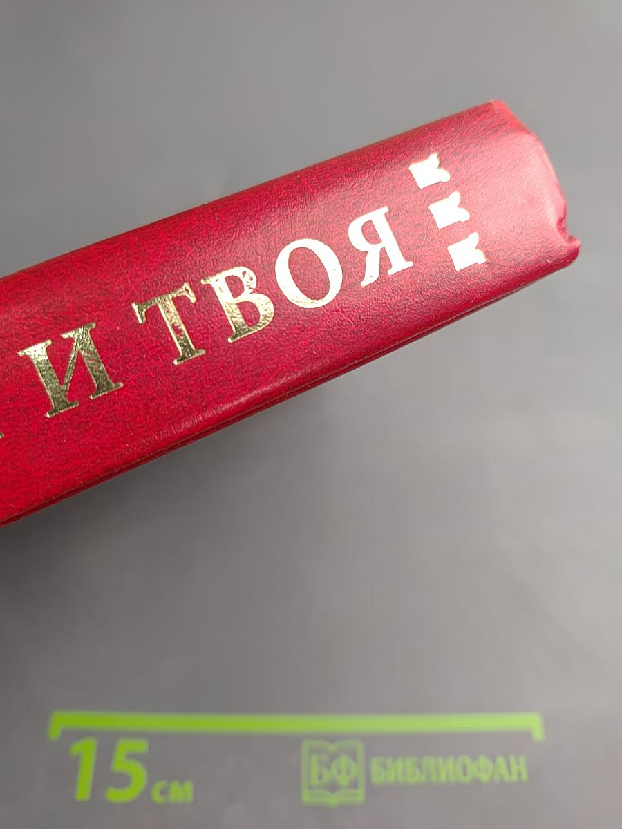 Москва моя и твоя