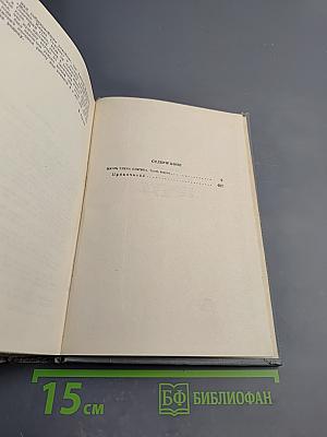 Жизнь Клима Самгина. Часть вторая