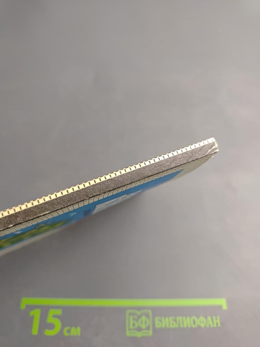 Райская кухня, или Все из яблок