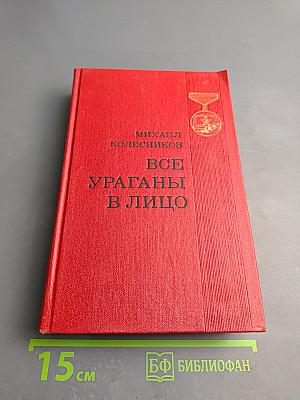 Все ураганы в лицо