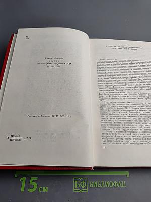 Все ураганы в лицо