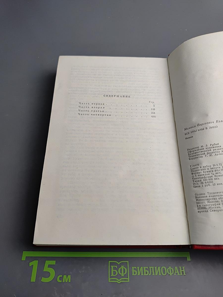 Все ураганы в лицо