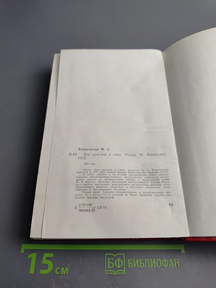 Все ураганы в лицо