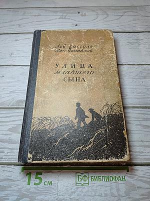 Улица младшего сына