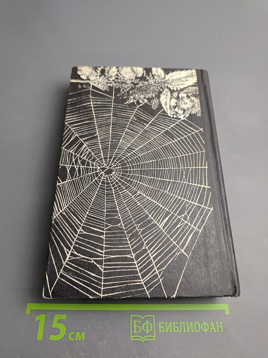 Долгий свет