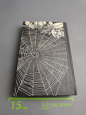 Долгий свет