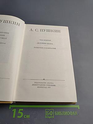 Полное собрание сочинений. Том девятый: История Петра. Заметки о Камчатке
