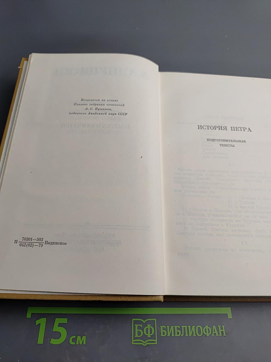 Полное собрание сочинений. Том девятый: История Петра. Заметки о Камчатке