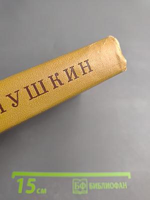 Полное собрание сочинений. Том девятый: История Петра. Заметки о Камчатке