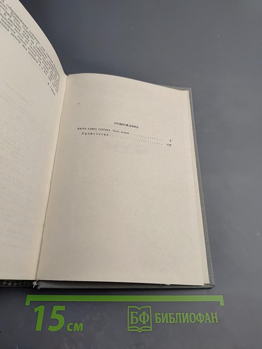 Жизнь Клима Самгина. Часть II