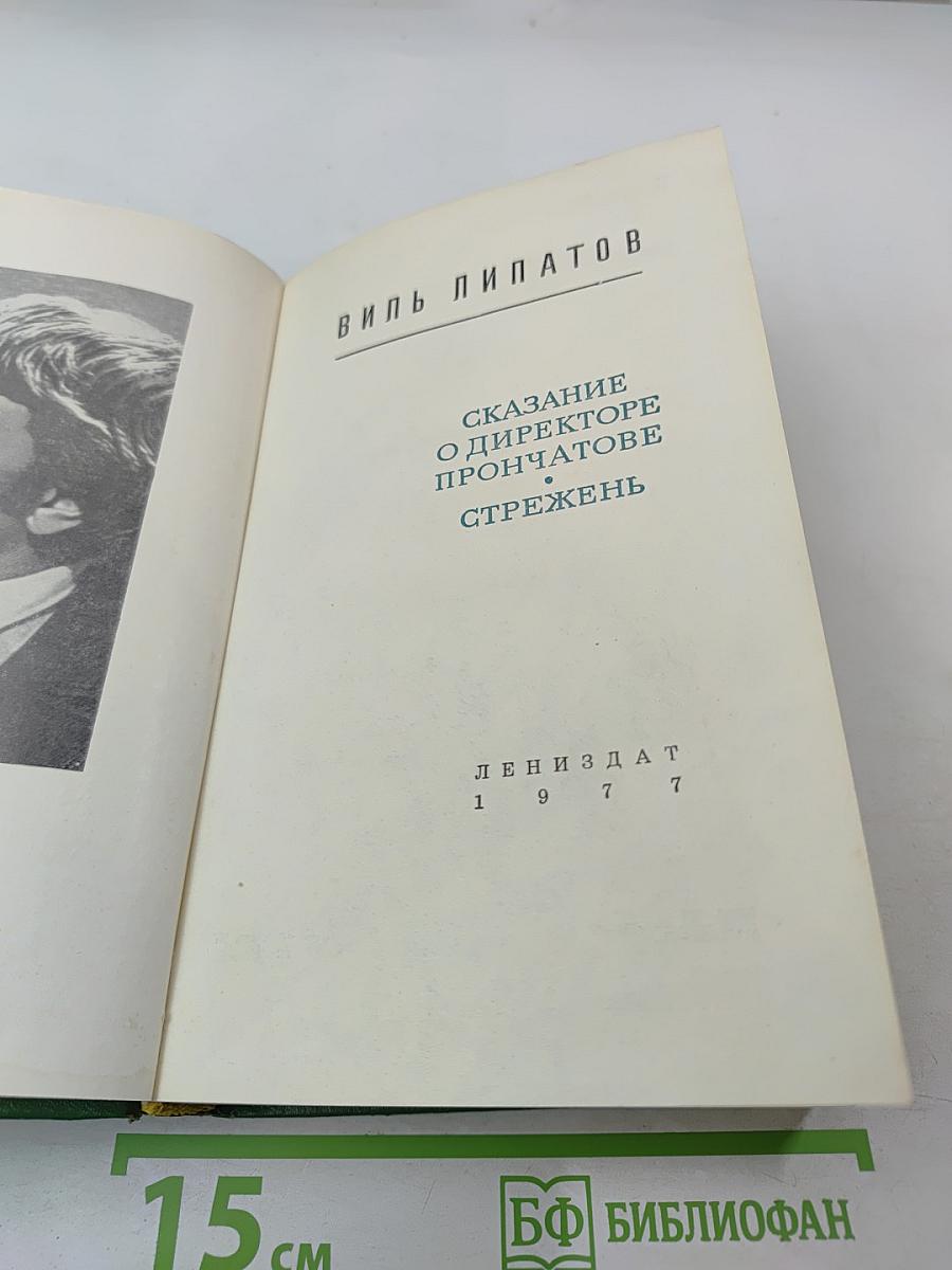 Сказание о директоре Прончатове. Стрежень