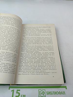 Сказание о директоре Прончатове. Стрежень