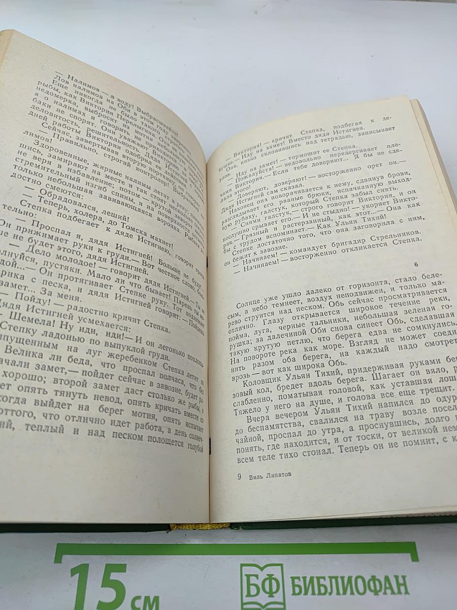 Сказание о директоре Прончатове. Стрежень