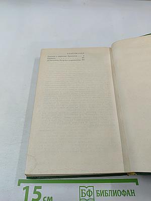 Сказание о директоре Прончатове. Стрежень